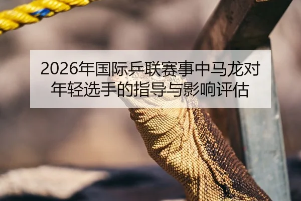 2026年国际乒联赛事中马龙对年轻选手的指导与影响评估