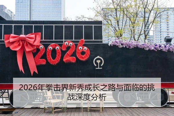2026年拳击界新秀成长之路与面临的挑战深度分析