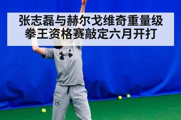 张志磊与赫尔戈维奇重量级拳王资格赛敲定六月开打